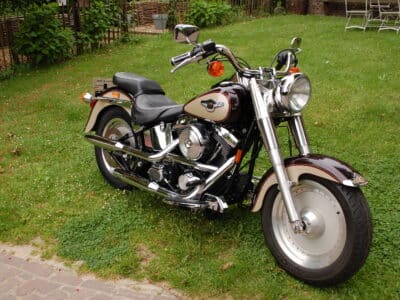 DSC 5869