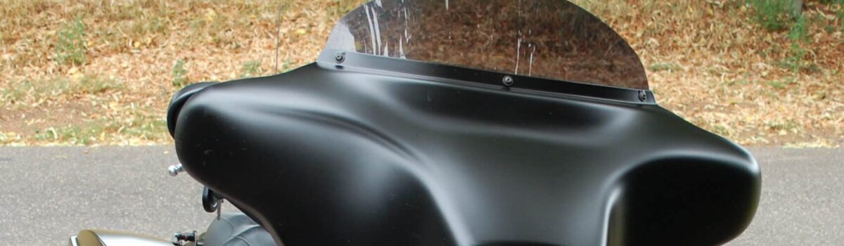 Streetglide 2010