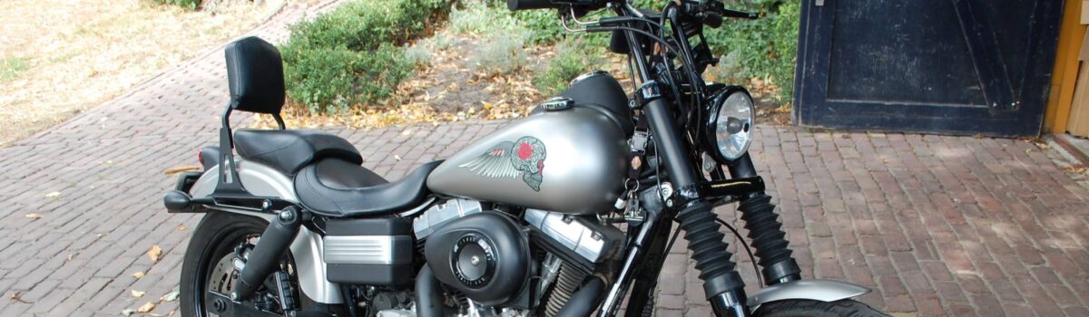 Streetbob 2009 in de kleur mat zilver